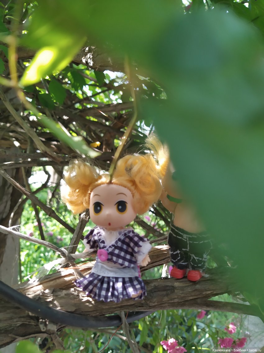 Как Любимчики лето встречали. Ч. 1 Цветочно-фруктовая