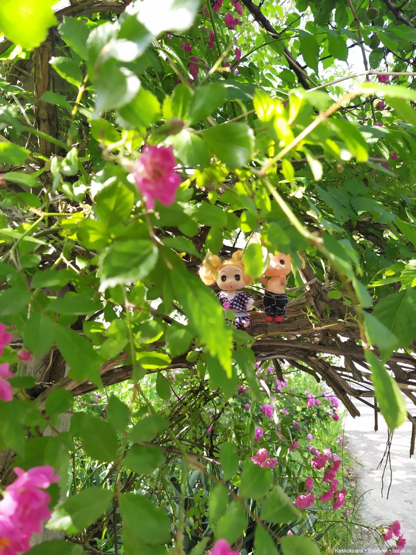 Как Любимчики лето встречали. Ч. 2 Сказочно-фантастическая