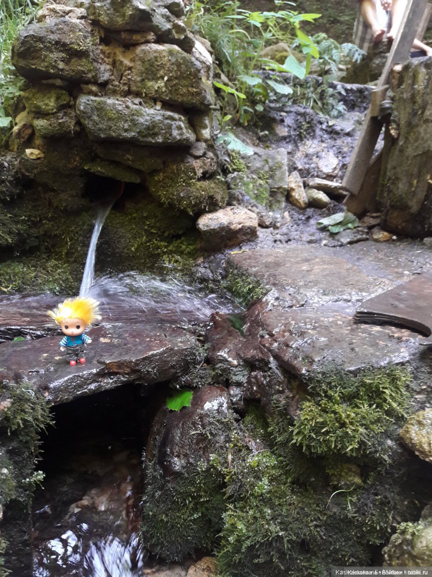 Как Любимчики лето встречали. Ч. 2 Сказочно-фантастическая (фото 4)