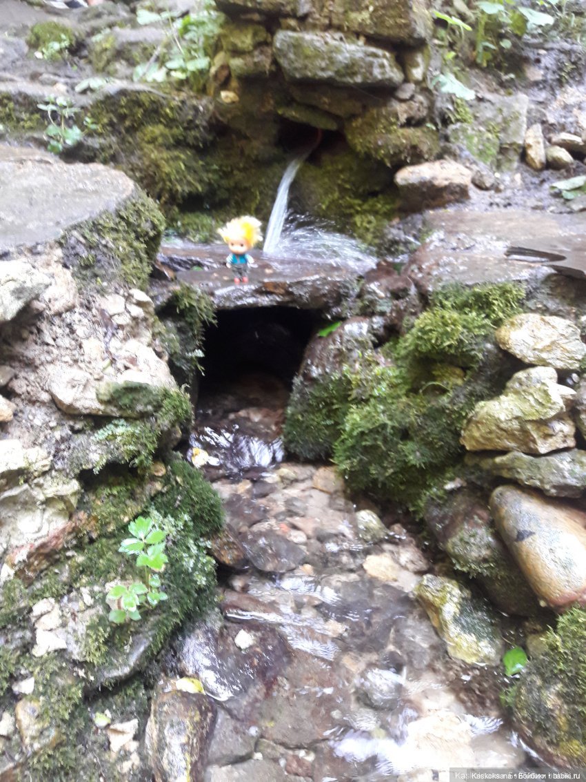 Как Любимчики лето встречали. Ч. 2 Сказочно-фантастическая (фото 8)