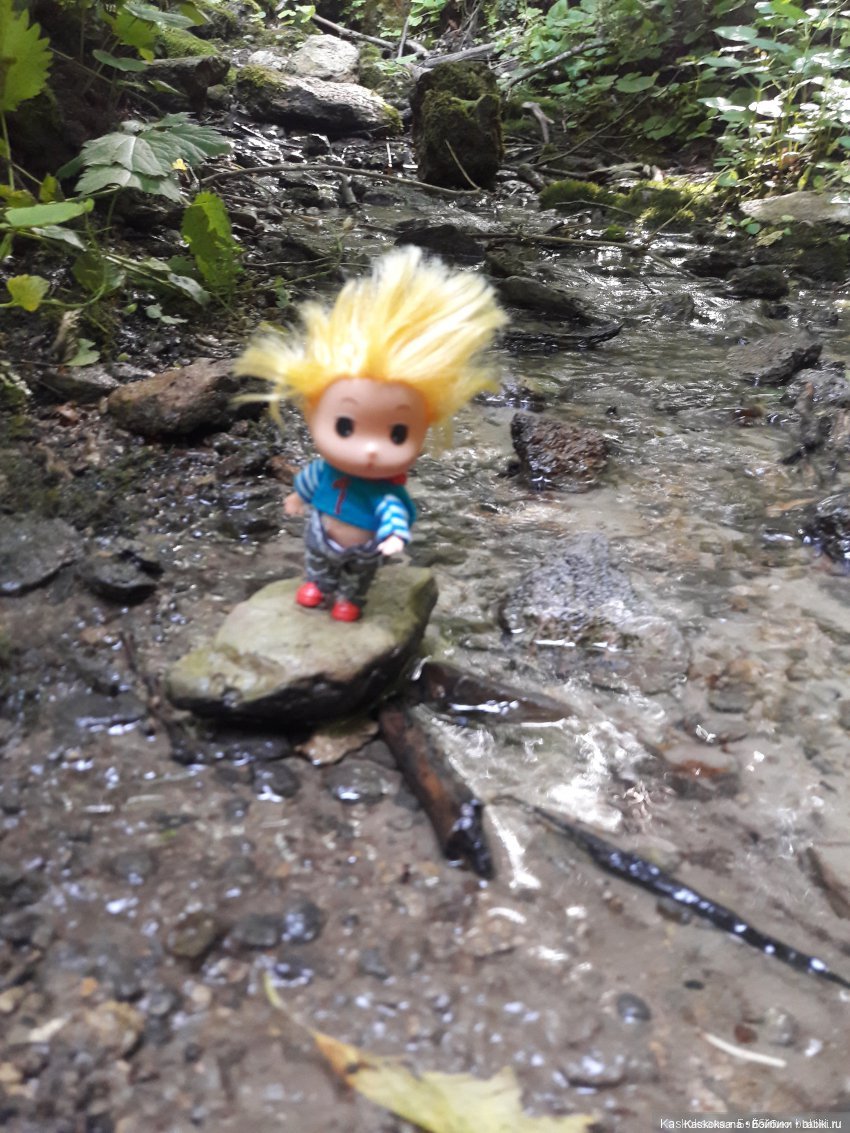 Как Любимчики лето встречали. Ч. 2 Сказочно-фантастическая (фото 3)