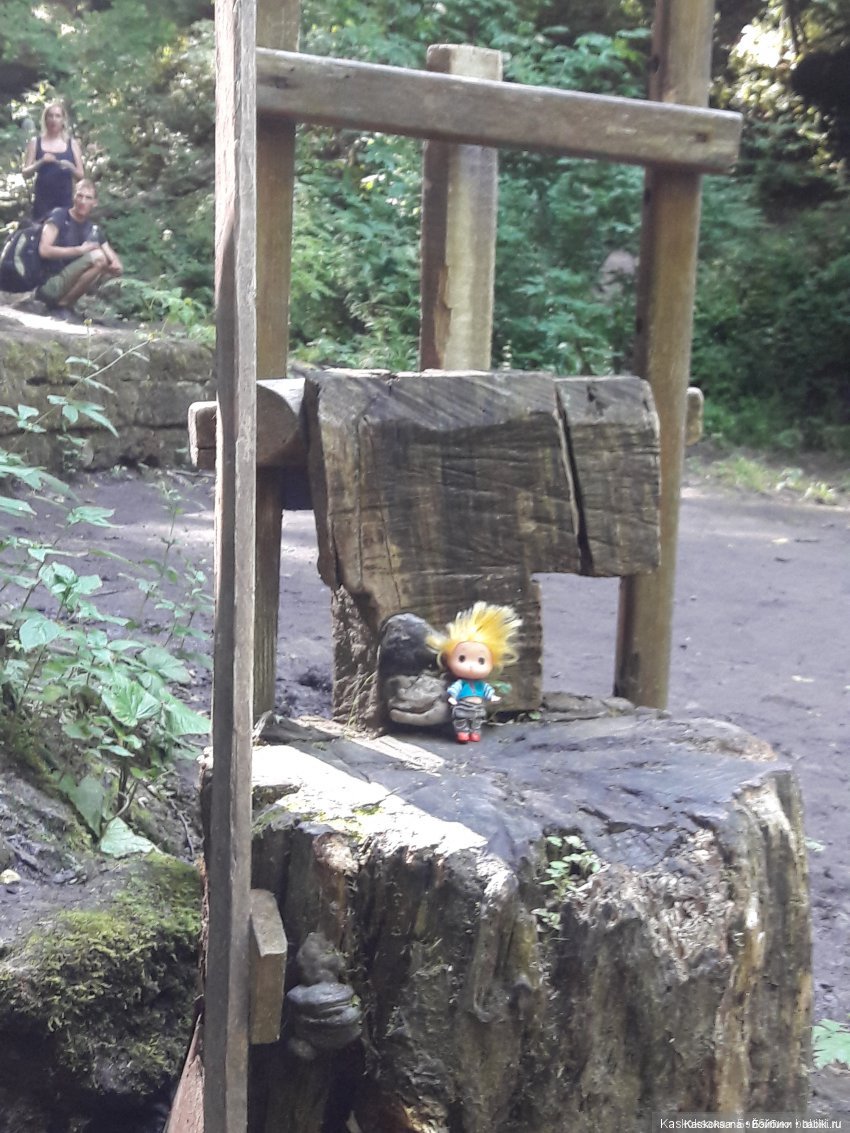 Как Любимчики лето встречали. Ч. 2 Сказочно-фантастическая (фото 7)