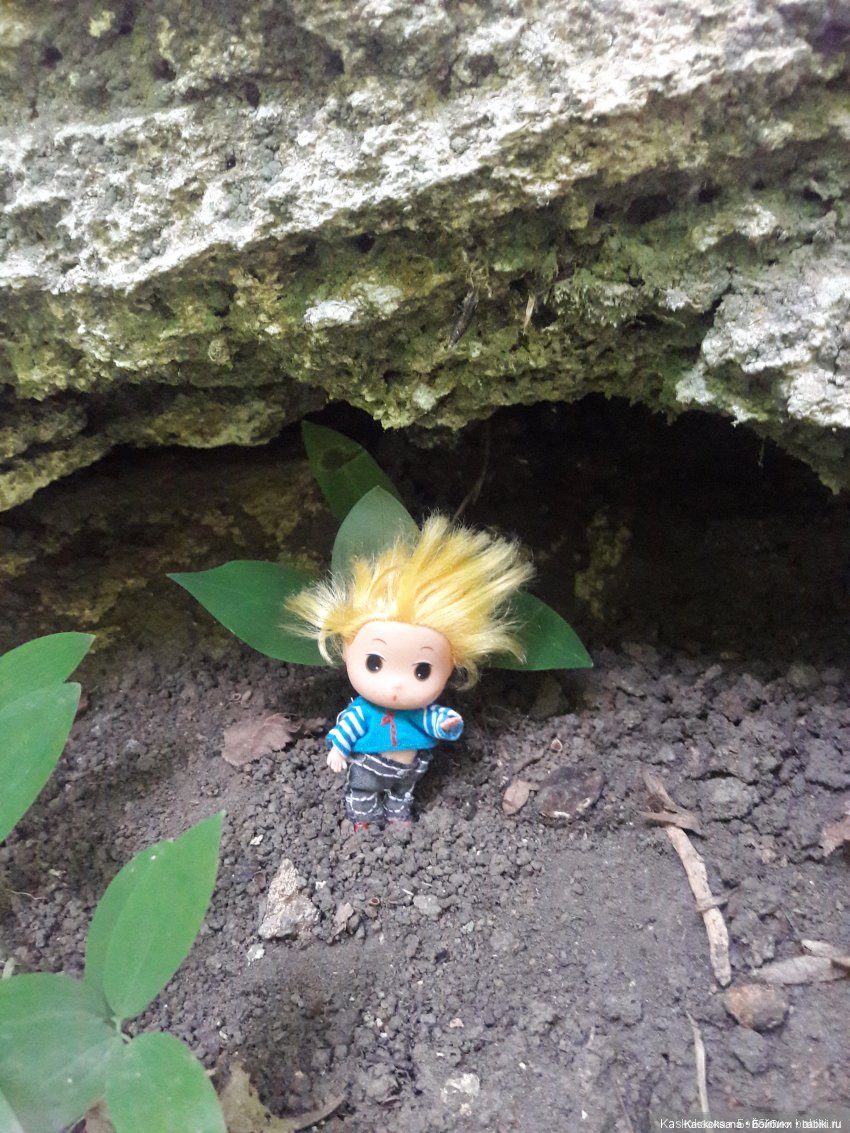 Как Любимчики лето встречали. Ч. 2 Сказочно-фантастическая (фото 6)