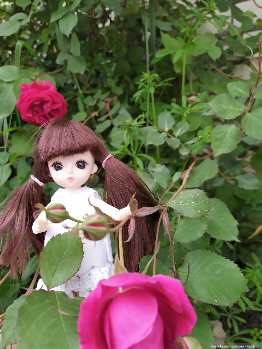 Зачем Яська цветы собирала (фото 10)