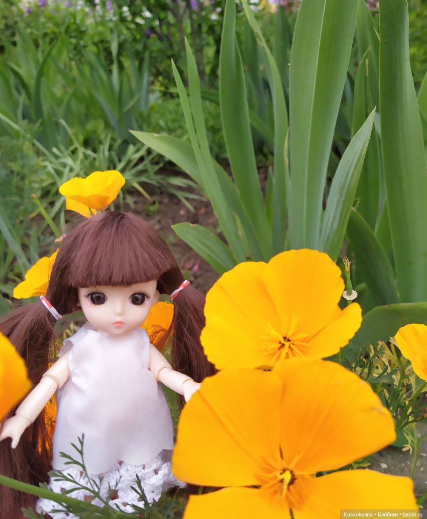 Зачем Яська цветы собирала (фото 5)