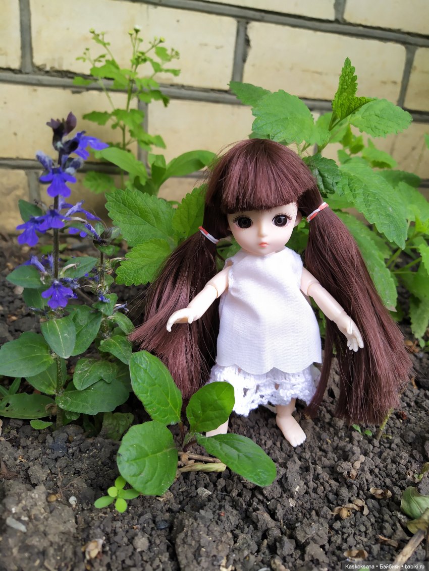 Зачем Яська цветы собирала