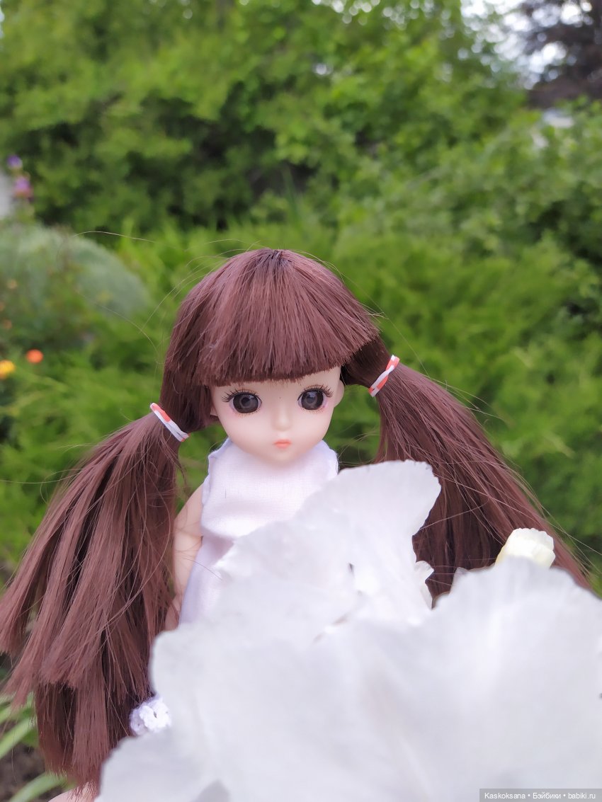 Зачем Яська цветы собирала (фото 6)