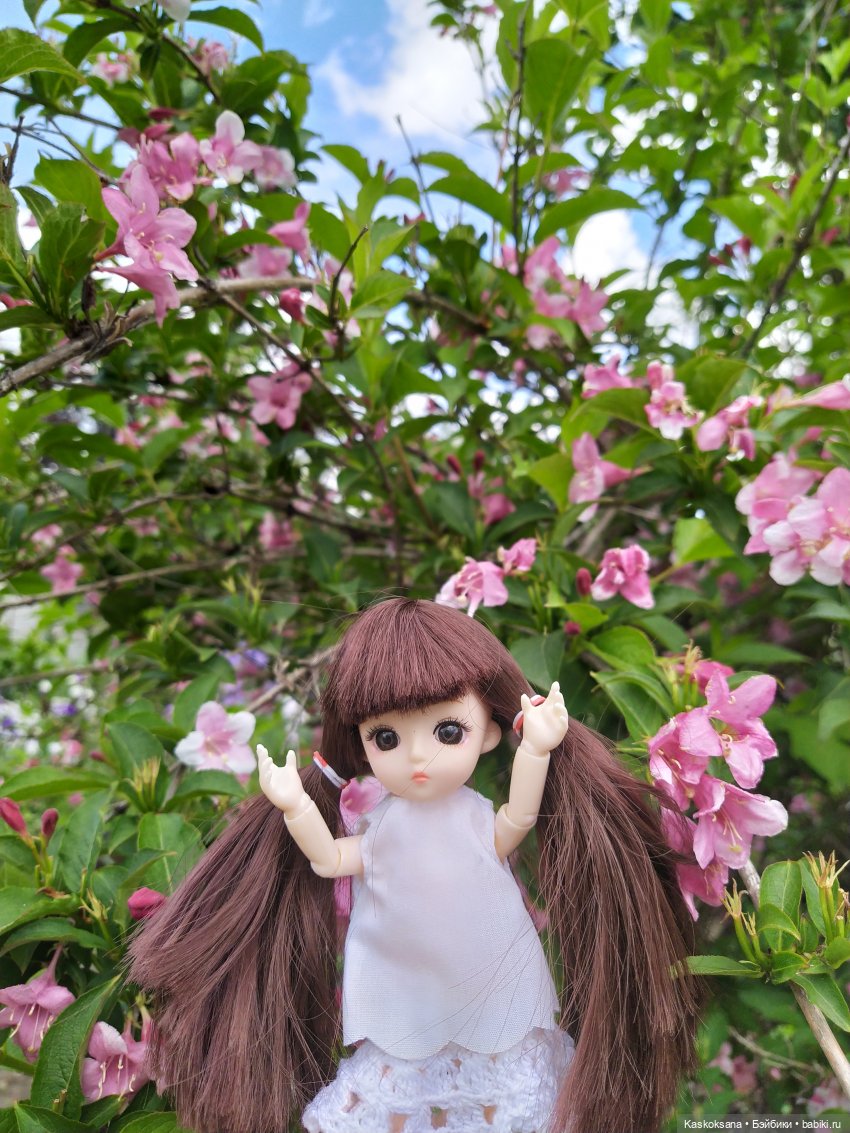 Зачем Яська цветы собирала (фото 3)