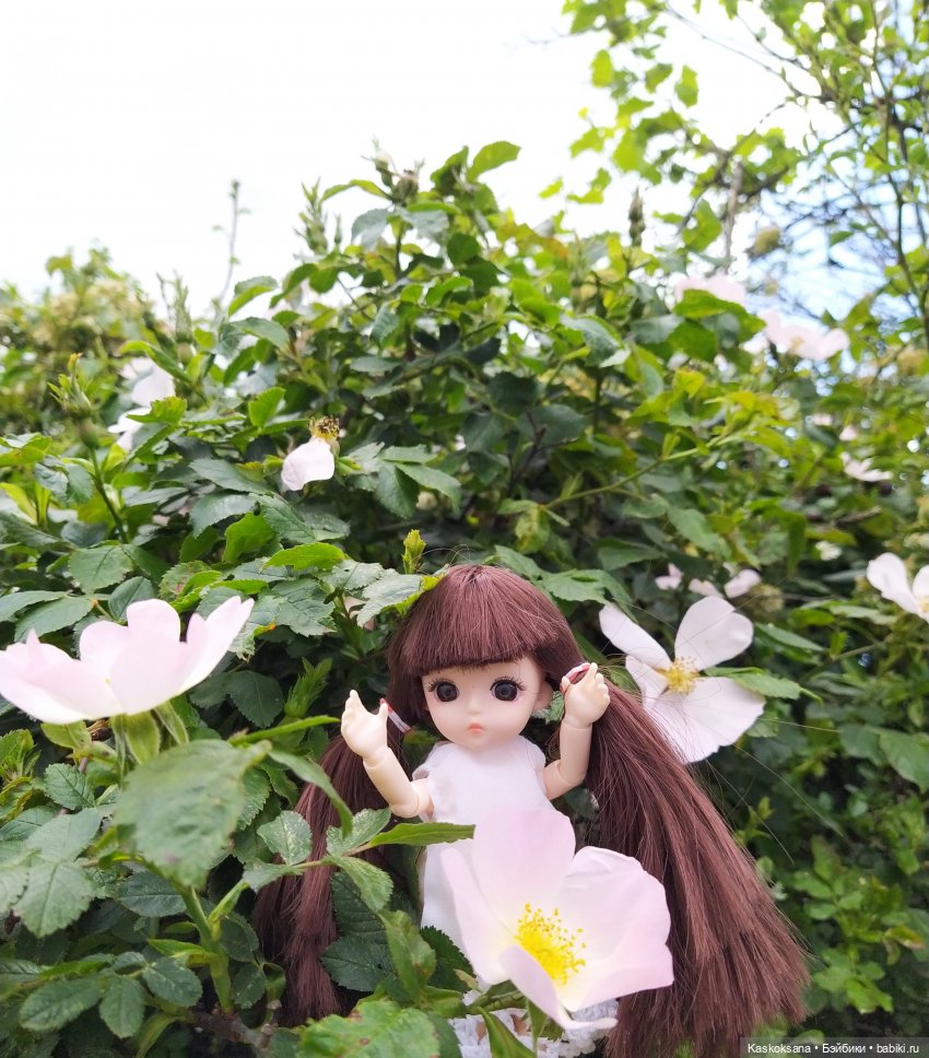 Зачем Яська цветы собирала