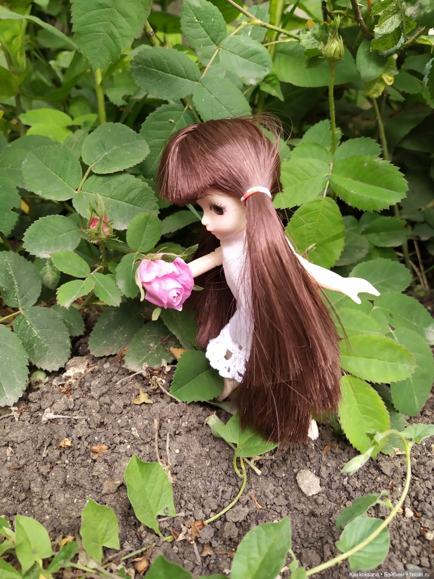 Зачем Яська цветы собирала