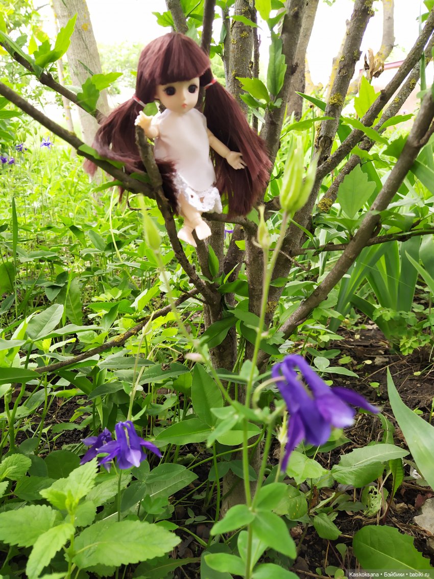 Зачем Яська цветы собирала