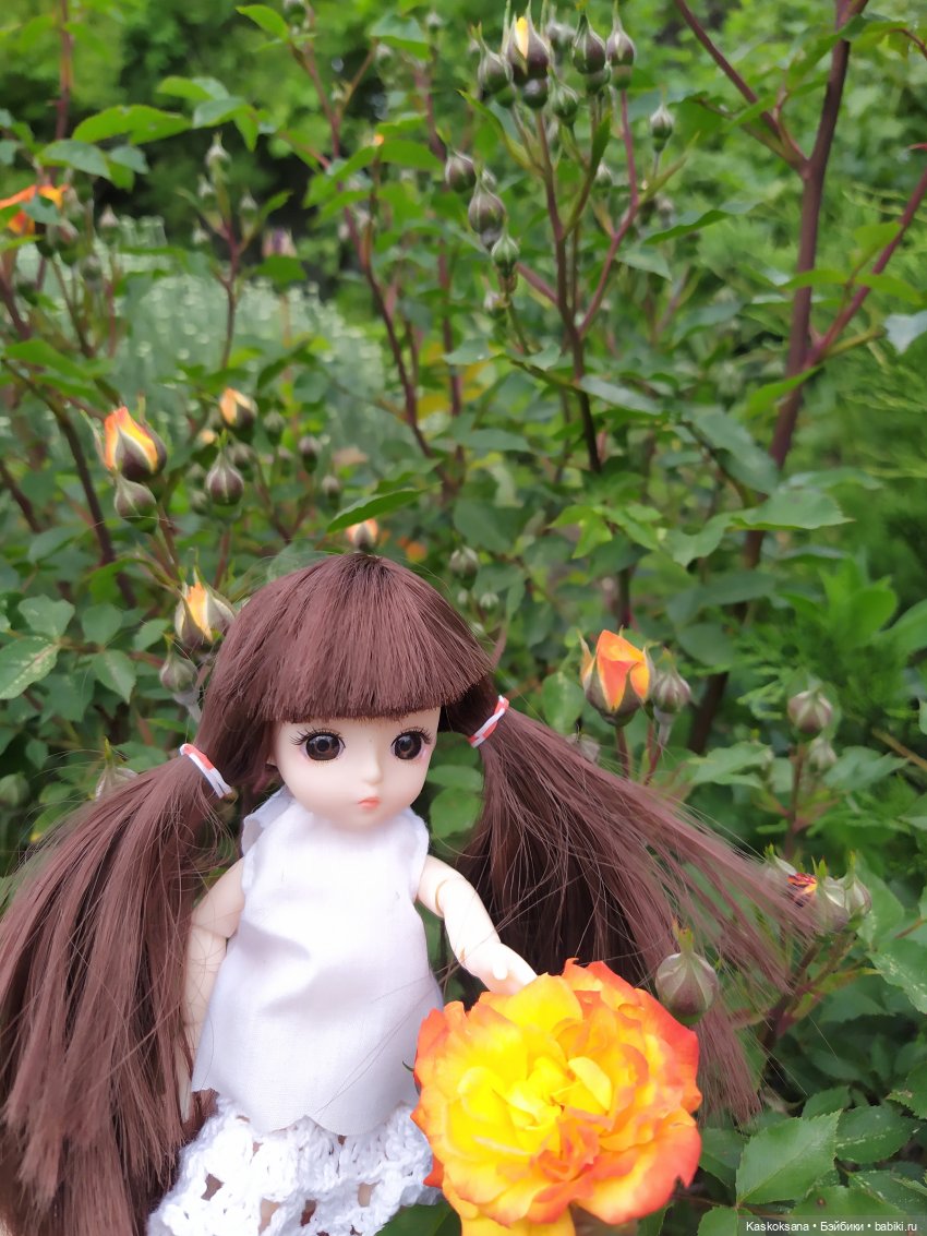 Зачем Яська цветы собирала (фото 7)