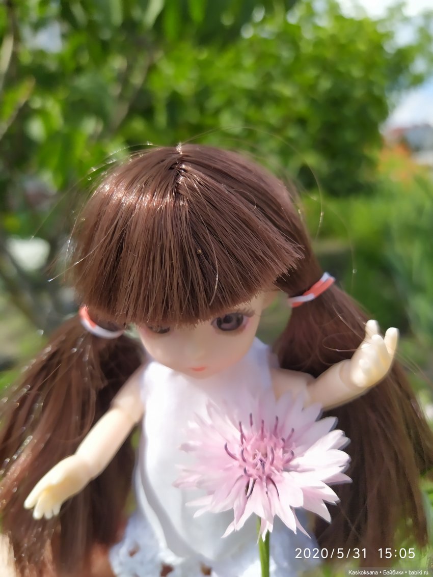 Зачем Яська цветы собирала