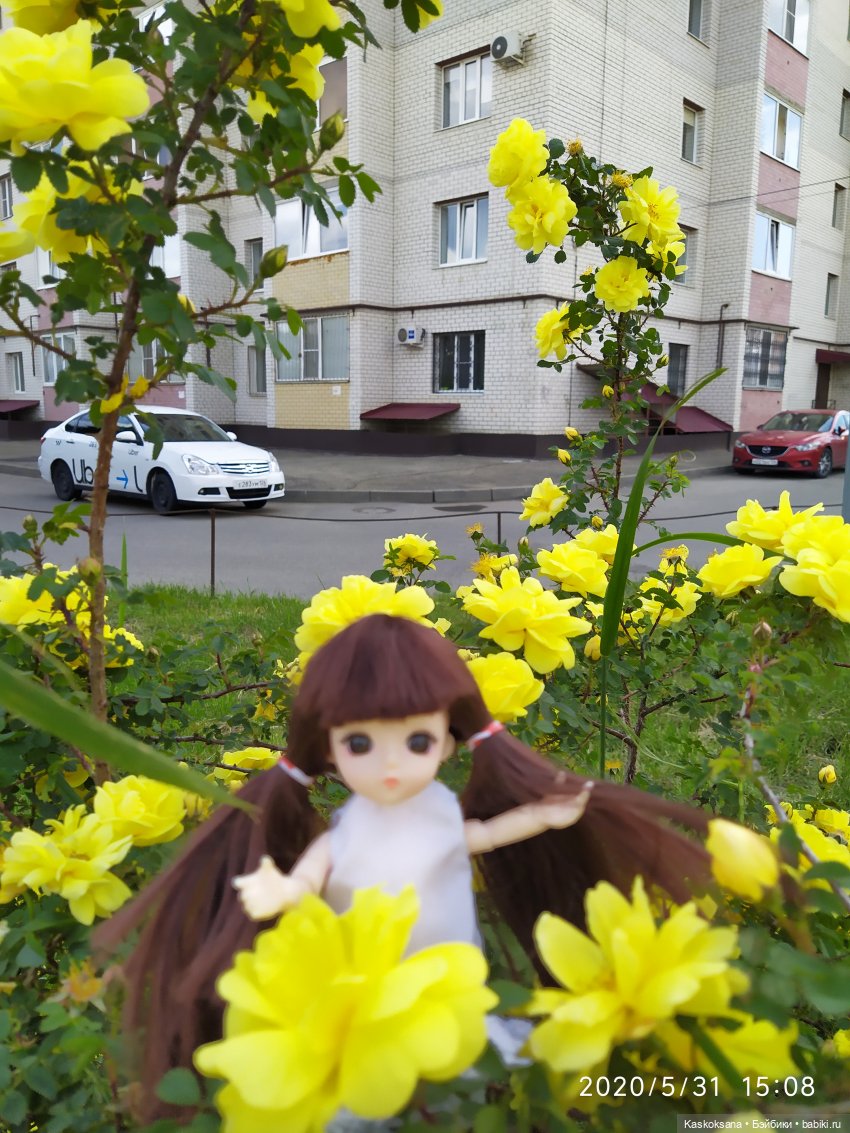 Зачем Яська цветы собирала