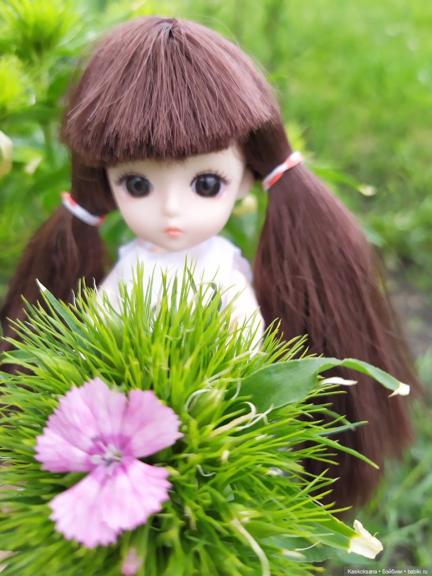 Зачем Яська цветы собирала