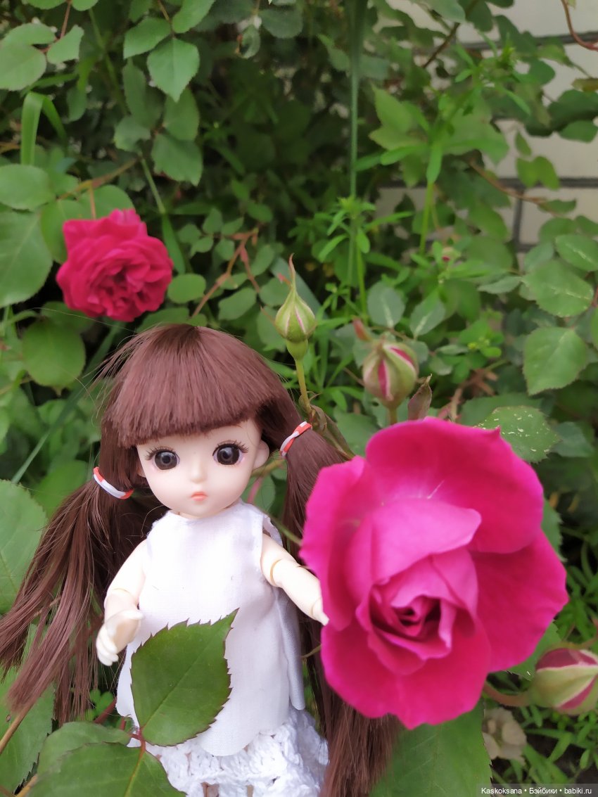 Зачем Яська цветы собирала