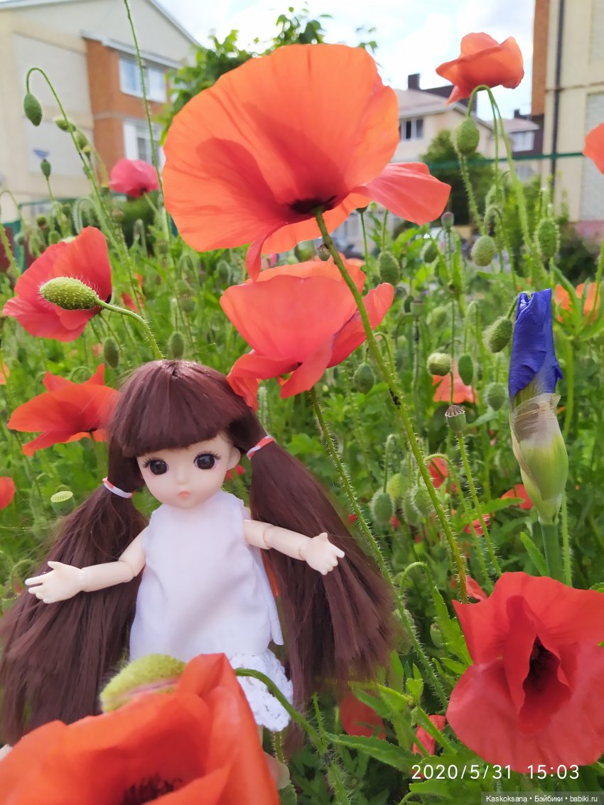 Зачем Яська цветы собирала