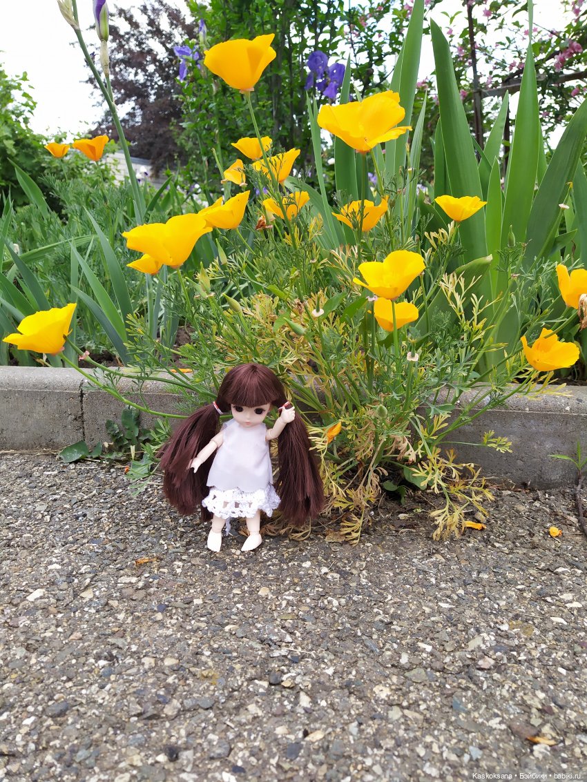 Зачем Яська цветы собирала (фото 4)