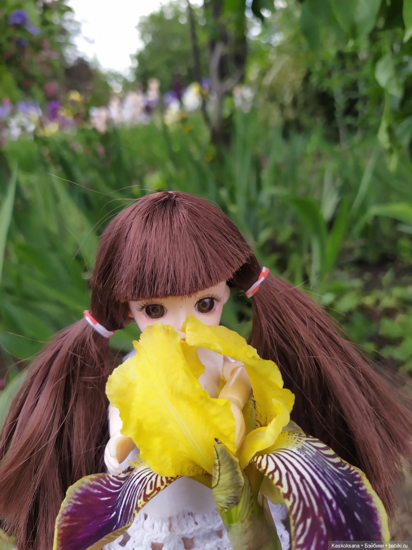 Зачем Яська цветы собирала (фото 9)