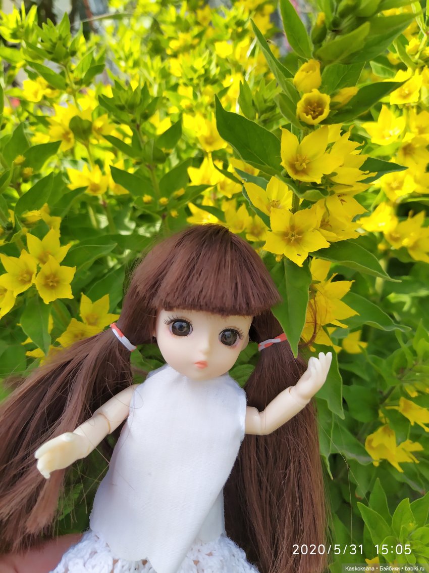 Зачем Яська цветы собирала