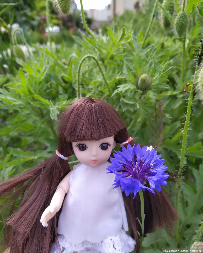 Зачем Яська цветы собирала