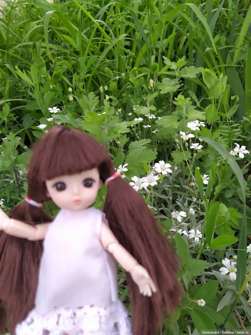 Зачем Яська цветы собирала