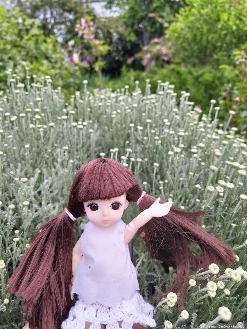 Зачем Яська цветы собирала (фото 8)