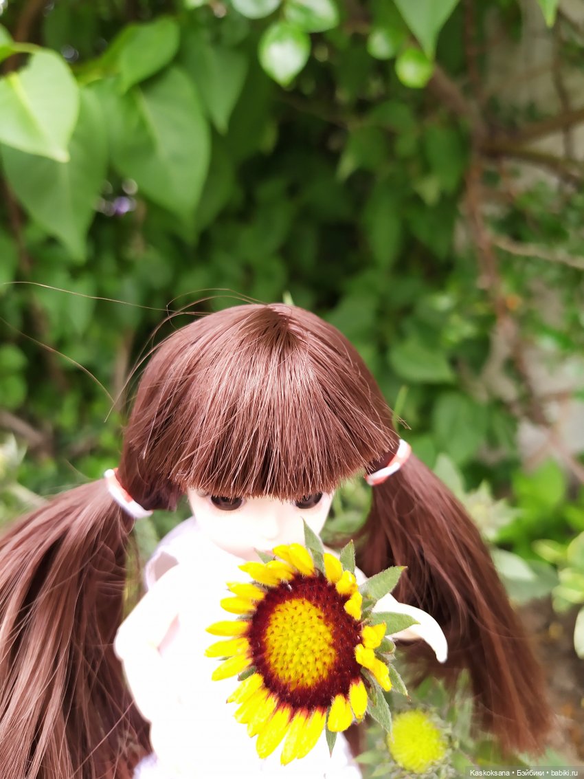 Зачем Яська цветы собирала (фото 2)