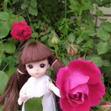 Зачем Яська цветы собирала