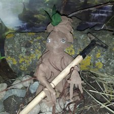 От Чайника Чайнику "Мандрагору звали?"