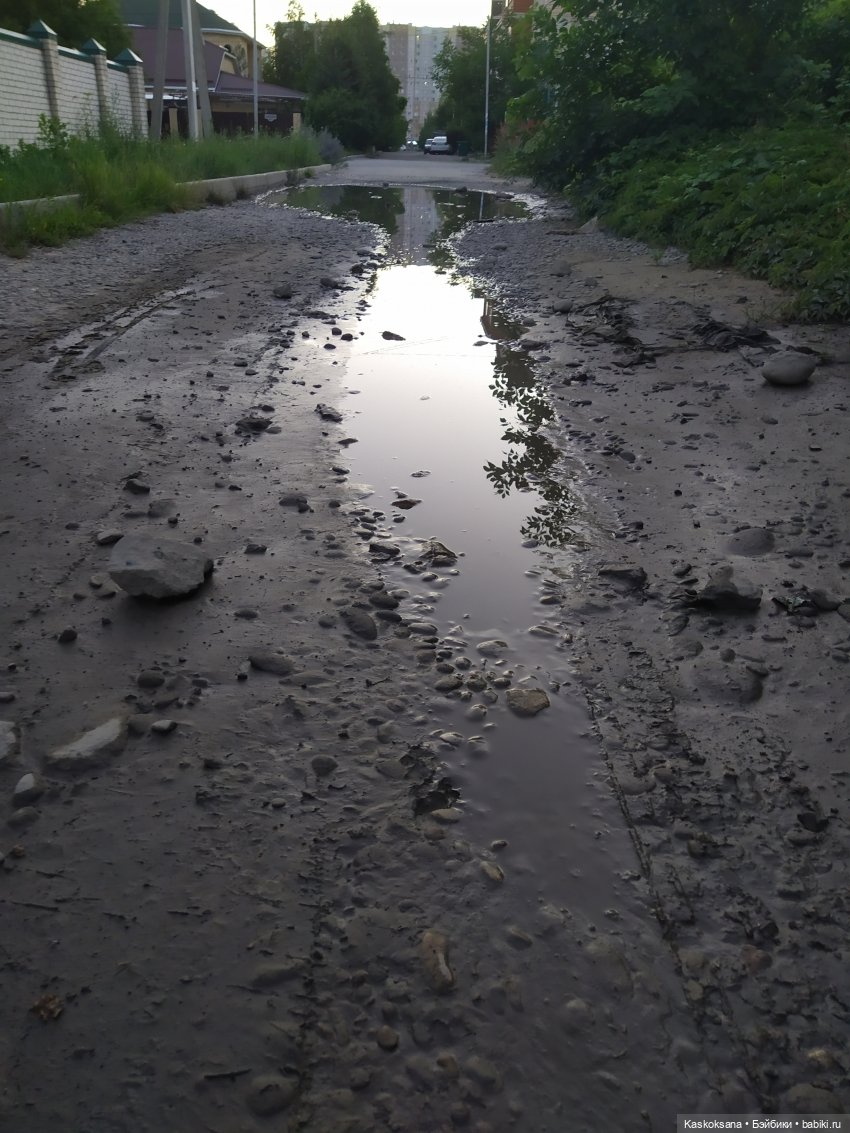 Остановись, мгновенье! Купальские цветы юга