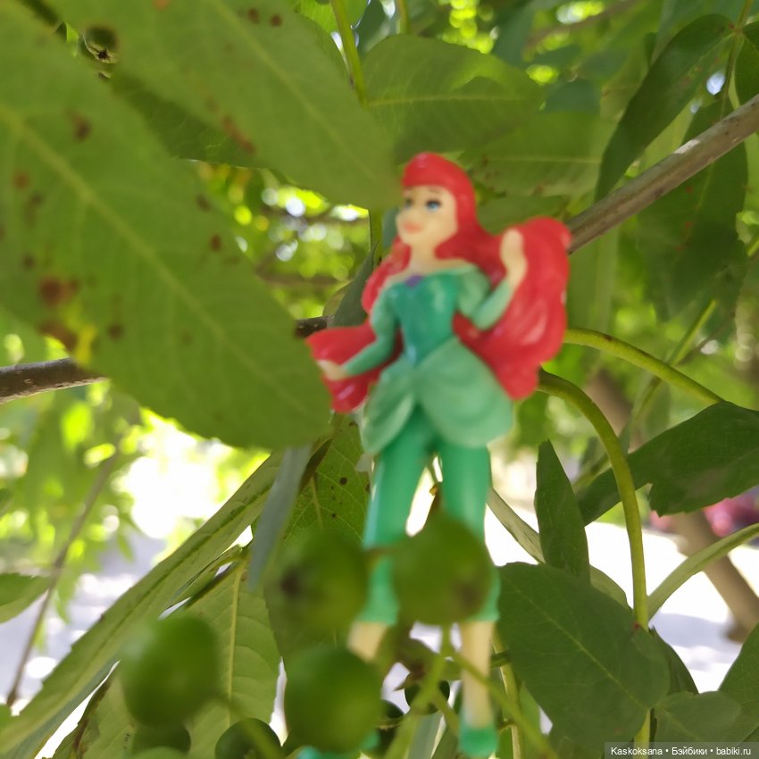 Остановись, мгновенье! Купальские цветы юга