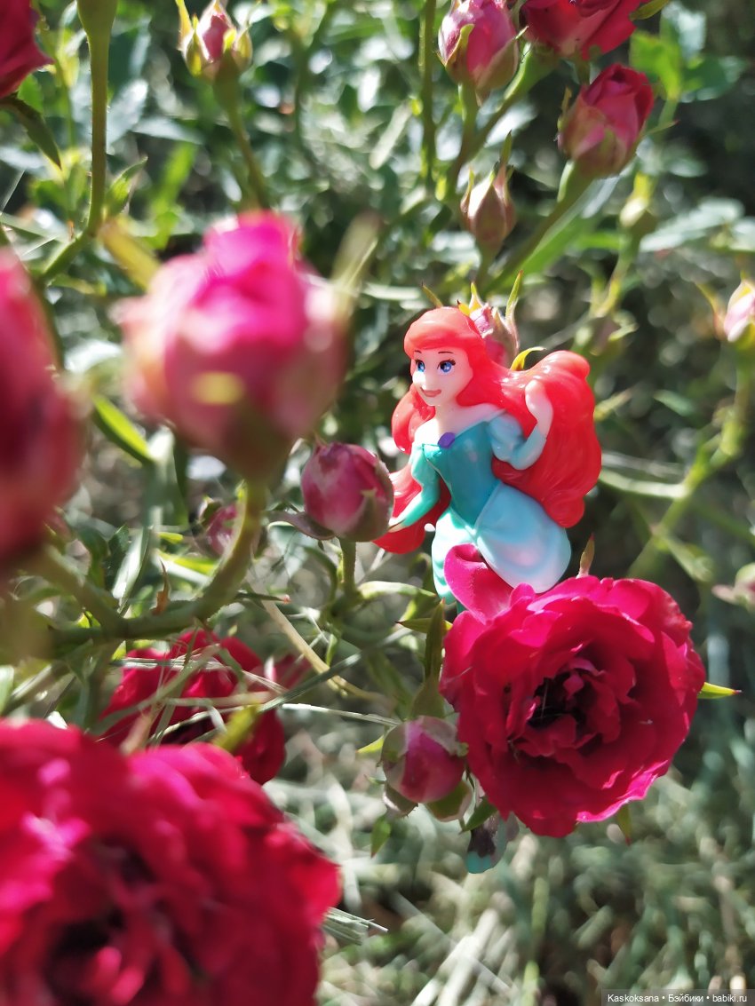 Остановись, мгновенье! Купальские цветы юга