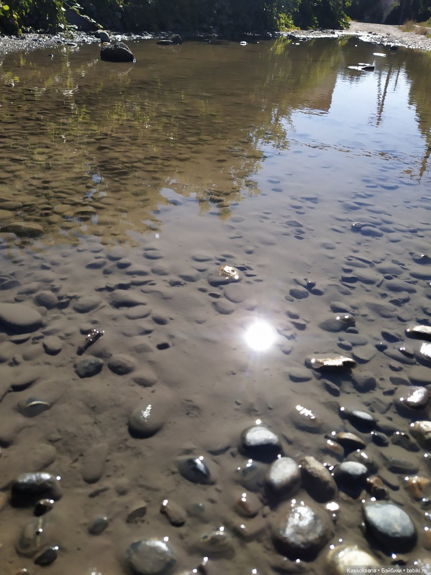 Остановись, мгновенье! Купальские цветы юга
