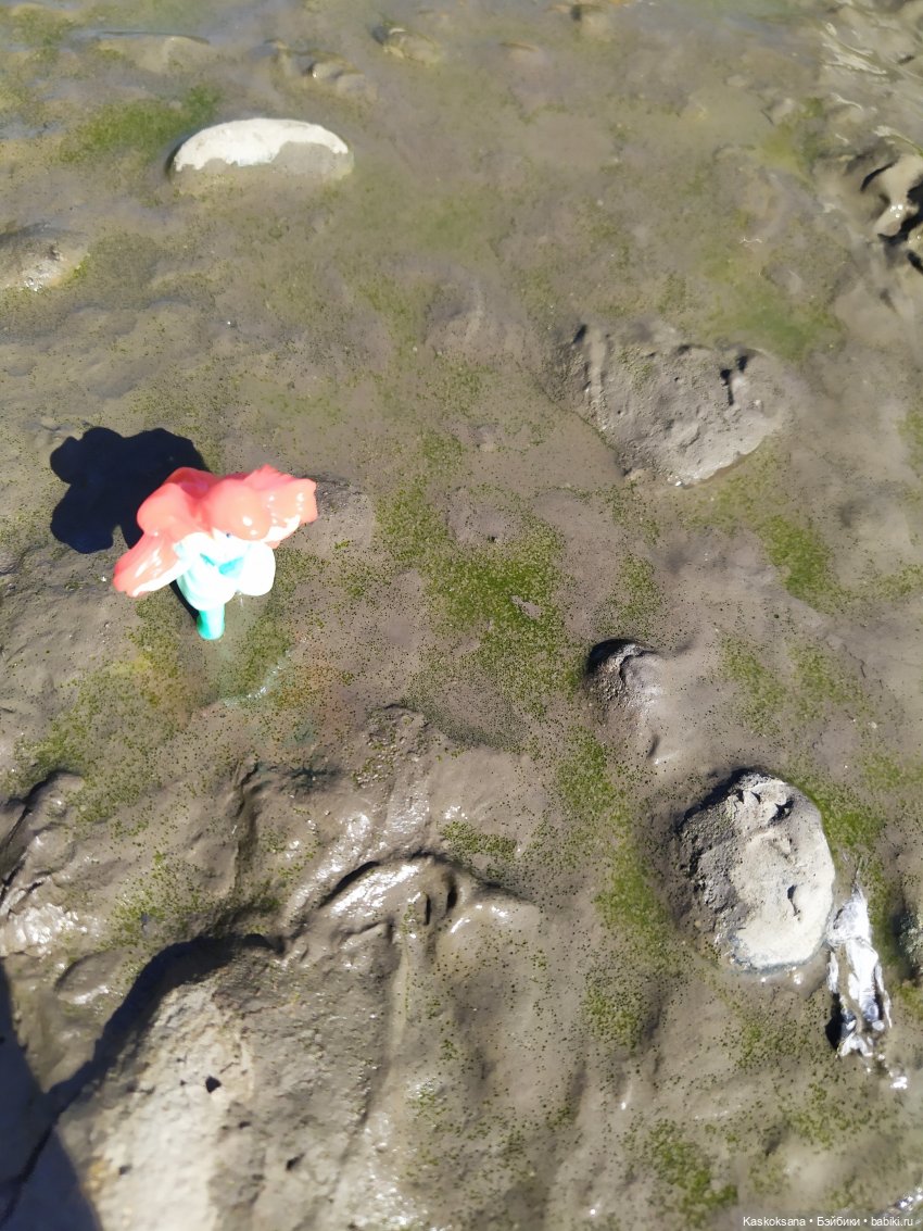 Остановись, мгновенье! Купальские цветы юга