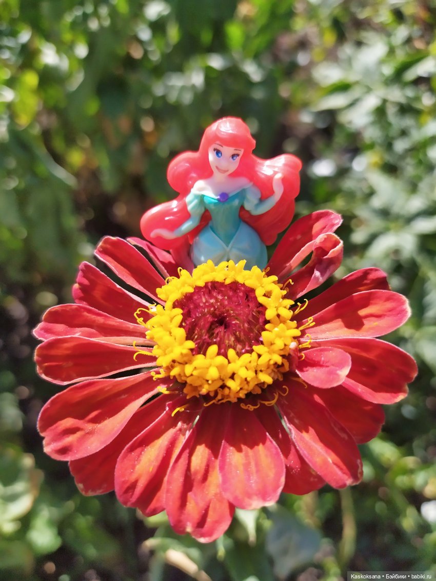 Остановись, мгновенье! Купальские цветы юга