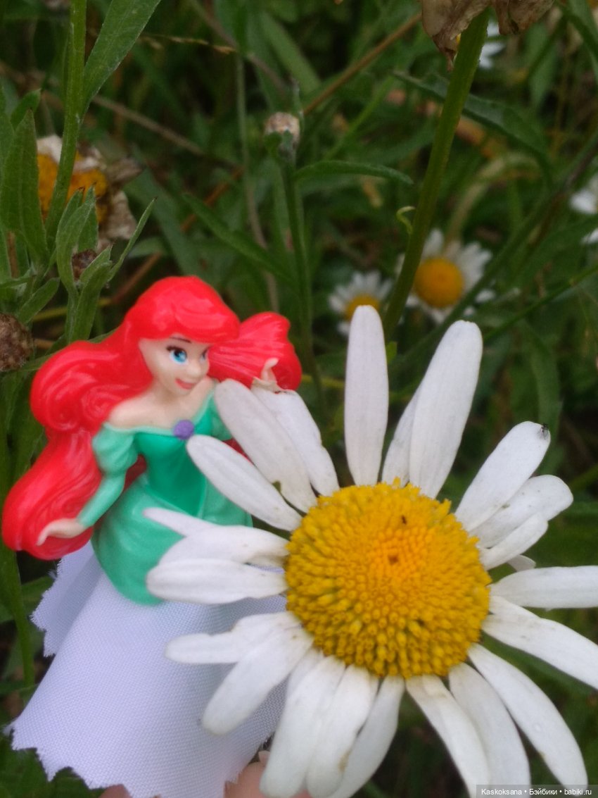 Остановись, мгновенье! Купальские цветы юга