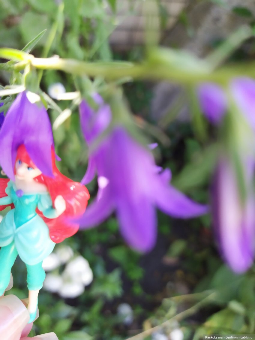 Остановись, мгновенье! Купальские цветы юга (фото 7)