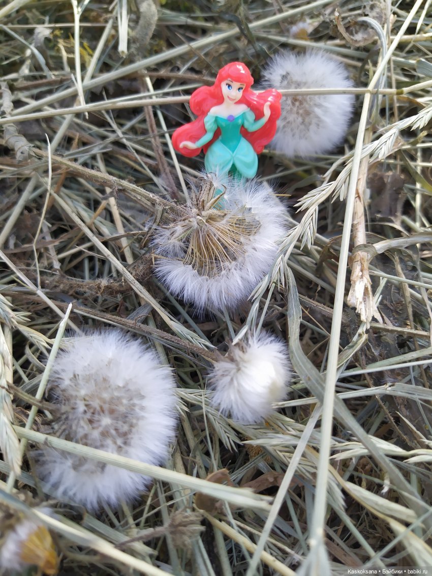 Остановись, мгновенье! Купальские цветы юга (фото 9)