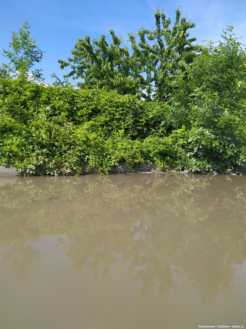 Остановись, мгновенье! Купальские цветы юга