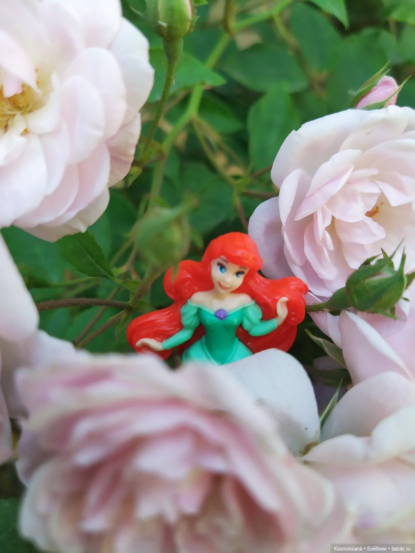 Остановись, мгновенье! Купальские цветы юга