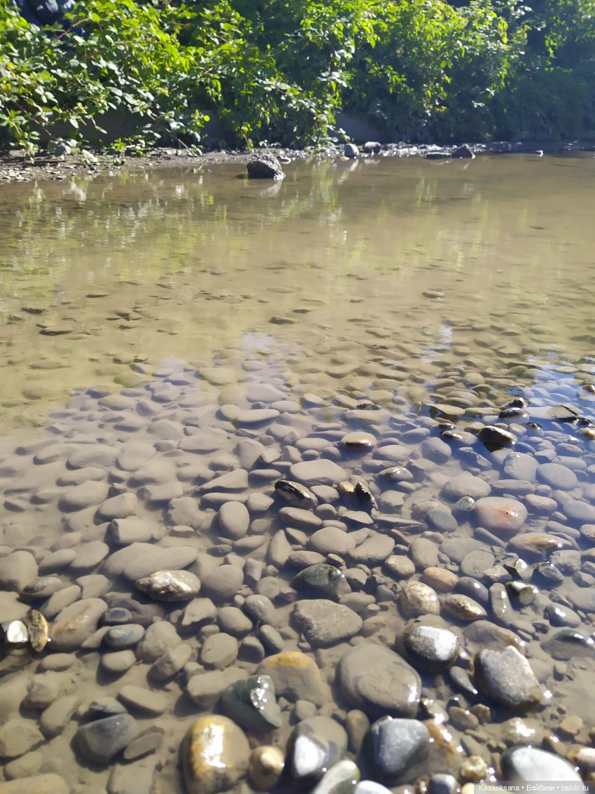 Остановись, мгновенье! Купальские цветы юга