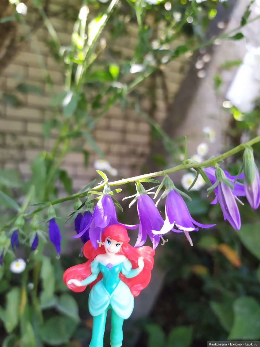 Остановись, мгновенье! Купальские цветы юга (фото 8)