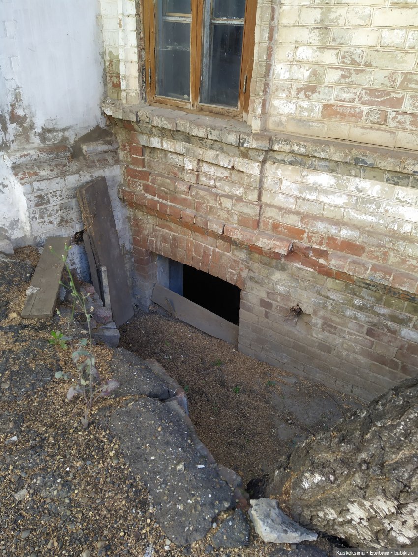 Яськины нелепые заметки. Сказочная