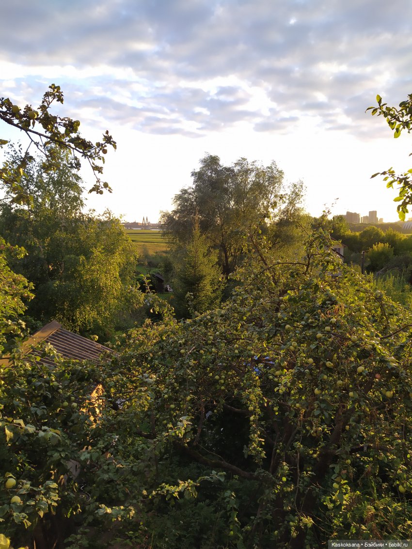 Яськины заметки. О красоте (фото 8)