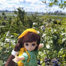 Яськины заметки. О красоте