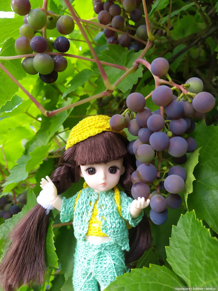 Яськины заметки: во саду ли, в огороде