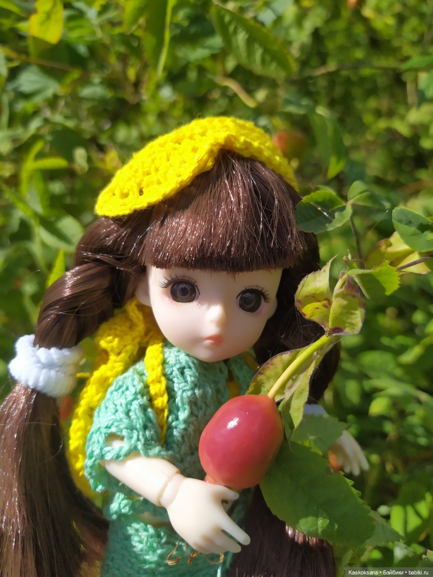 Яськины заметки: во саду ли, в огороде (фото 3)