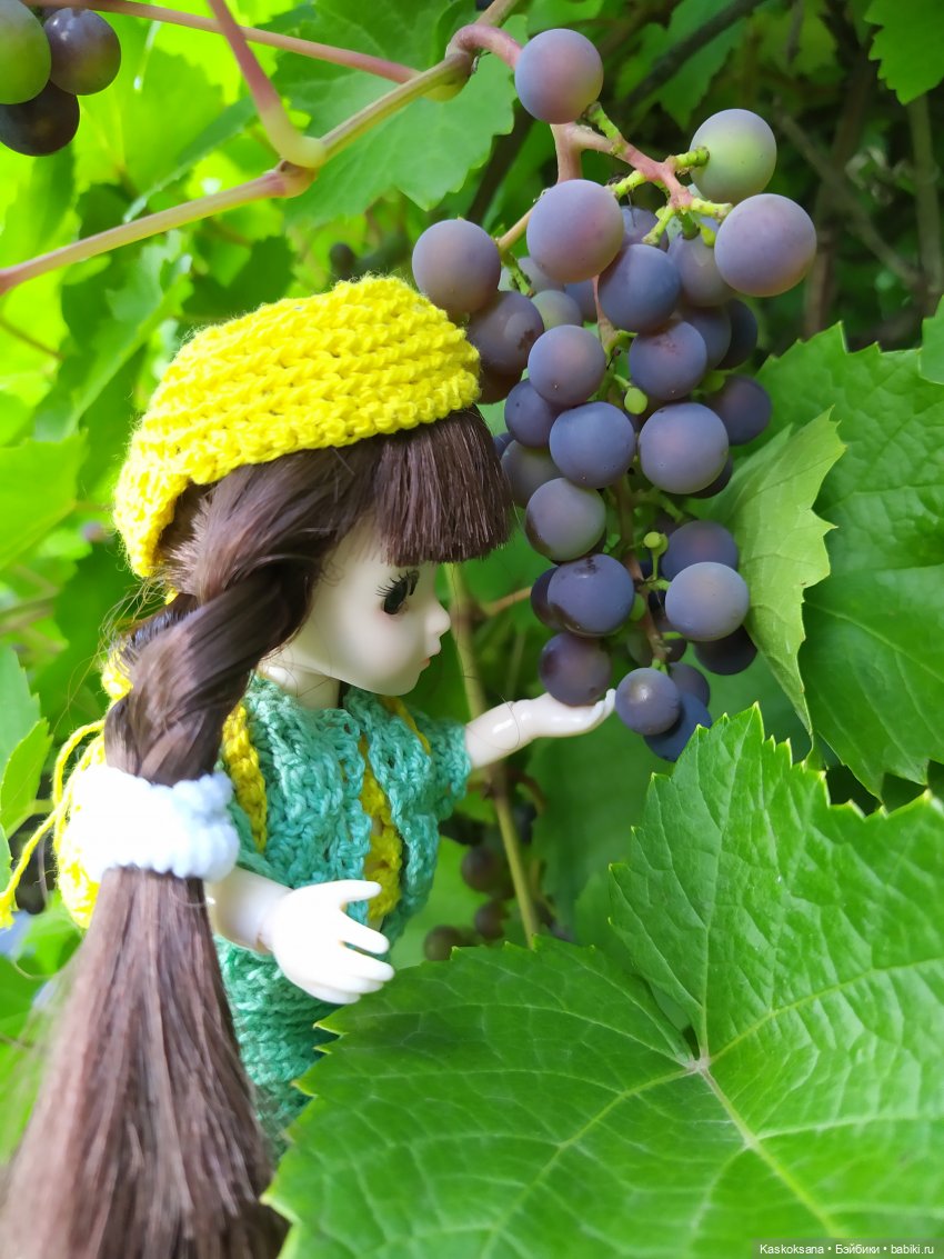 Яськины заметки: во саду ли, в огороде