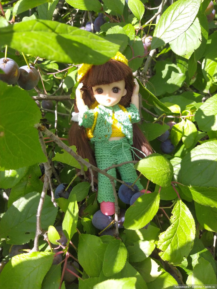 Яськины заметки: во саду ли, в огороде (фото 9)